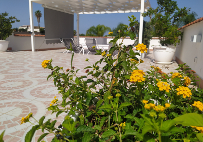 Casa Vacanze Villetta Cottone